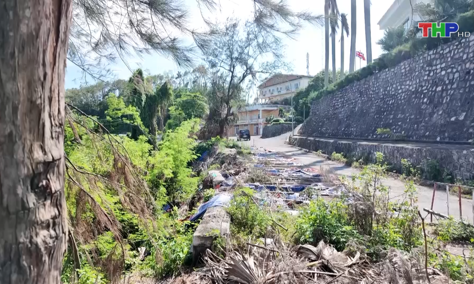 Tiếp tục xảy ra sạt lở tại quận Đồ Sơn  