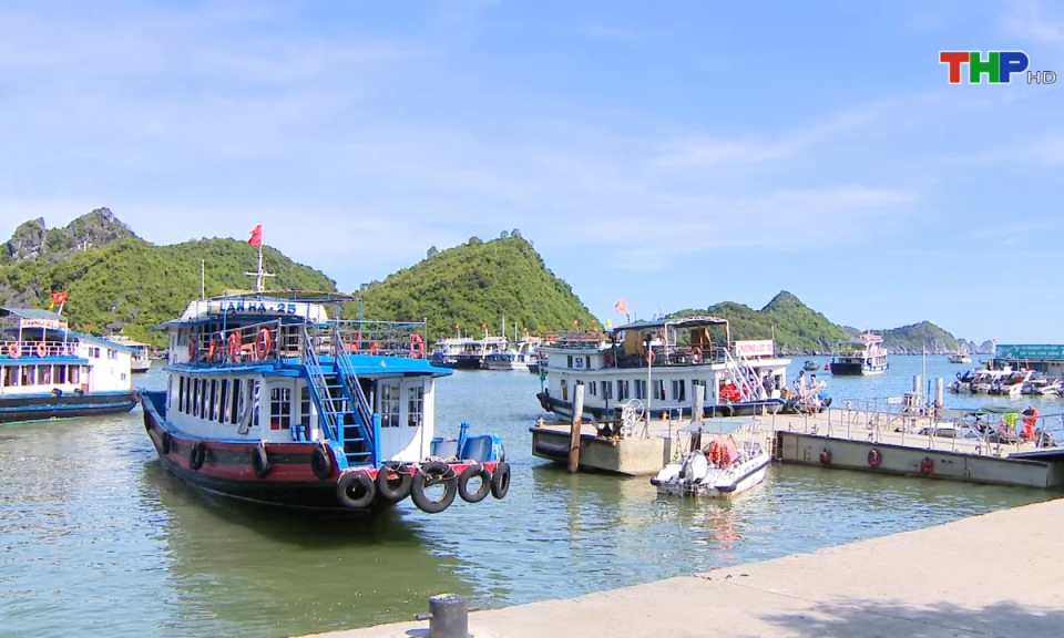 Bản tin Hải Ph&ograve;ng h&ocirc;m nay (02/10/2024)