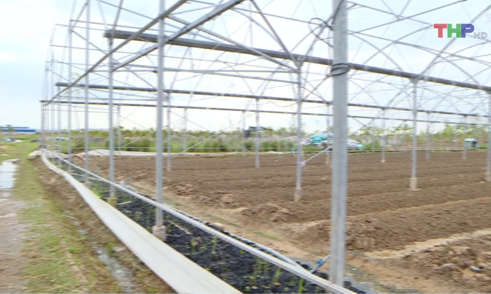 Bản tin thời sự trưa (03/10/2024)