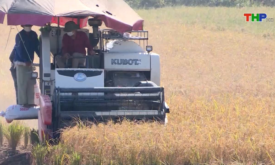 10 ph&uacute;t v&agrave;ng (03/10/2024)