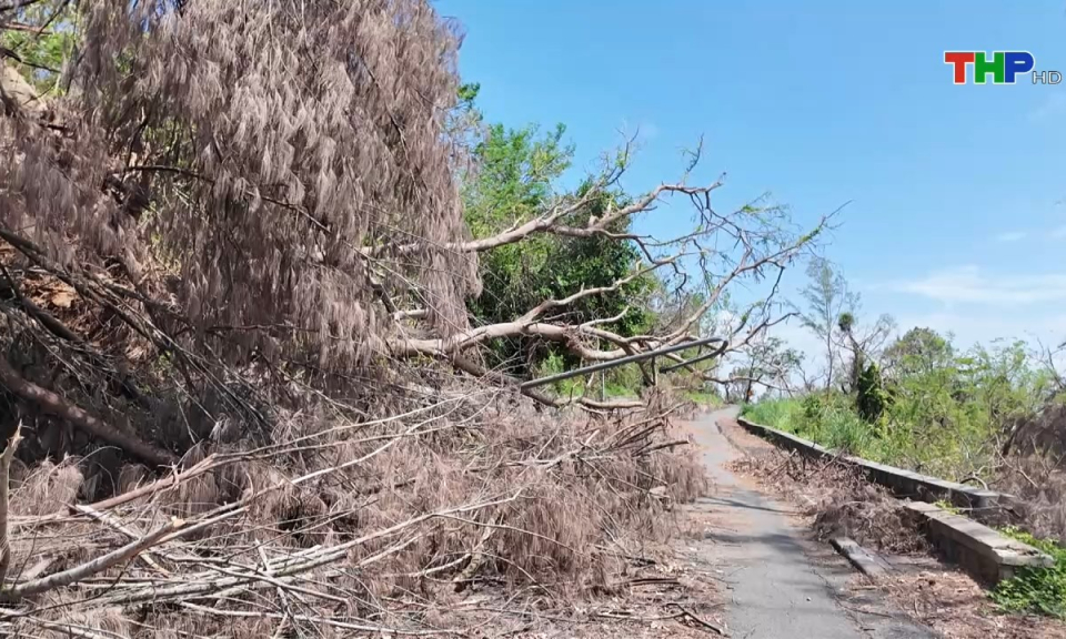 Bản tin Hải Ph&ograve;ng h&ocirc;m nay (03/10/2024)