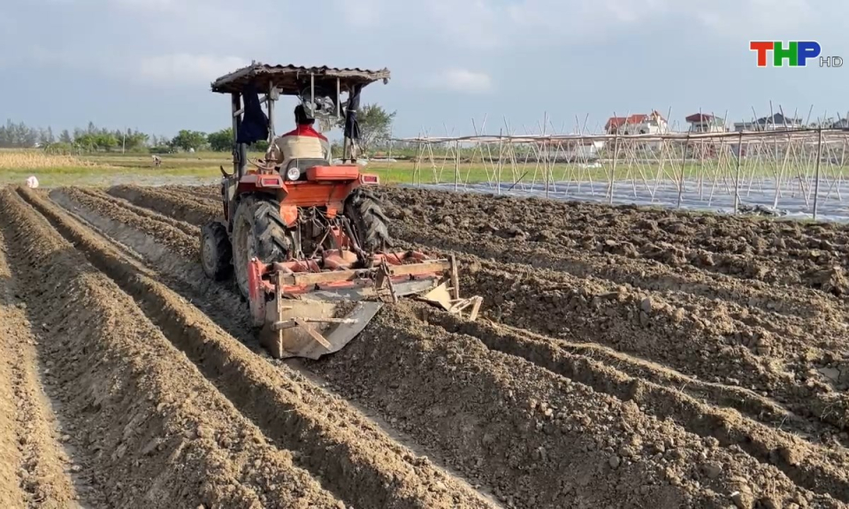 Bản tin Hải Ph&ograve;ng kết nối (04/10/2024)