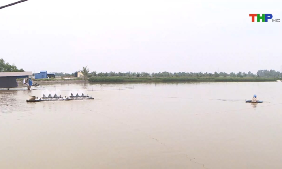Bản tin tiếng Anh (07/10/2024)