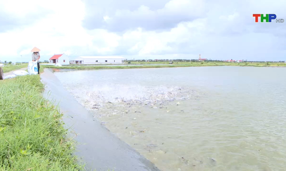 10 ph&uacute;t v&agrave;ng (09/10/2024)