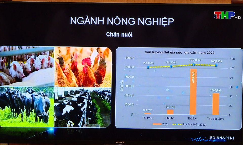 Hải Ph&ograve;ng: Đẩy mạnh c&ocirc;ng cuộc chuyển đổi số