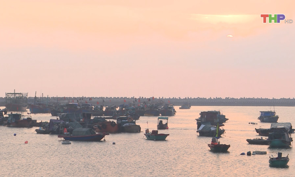 Tập trung chống khai th&aacute;c thủy sản bất hợp ph&aacute;p