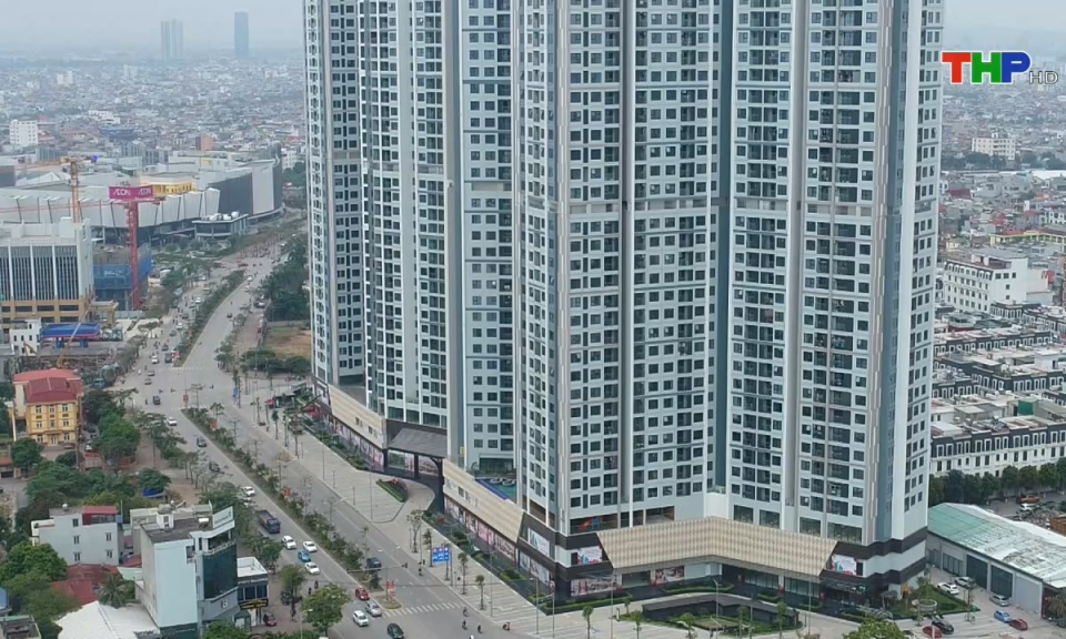 Bản tin Hải Ph&ograve;ng h&ocirc;m nay (12/10/2024)