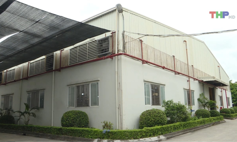 Bản tin thời sự trưa (13/10/2024)