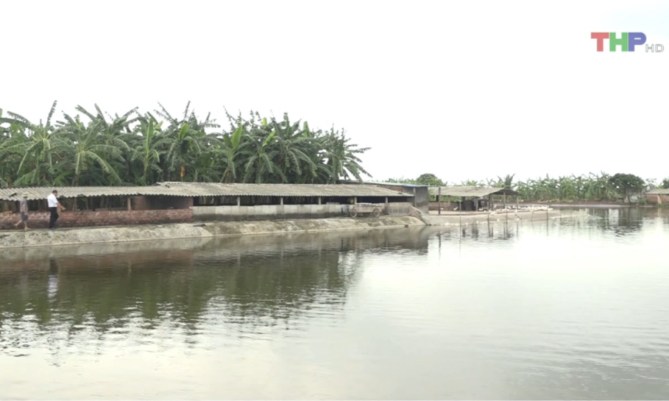 Bản tin thời sự trưa (14/10/2024)