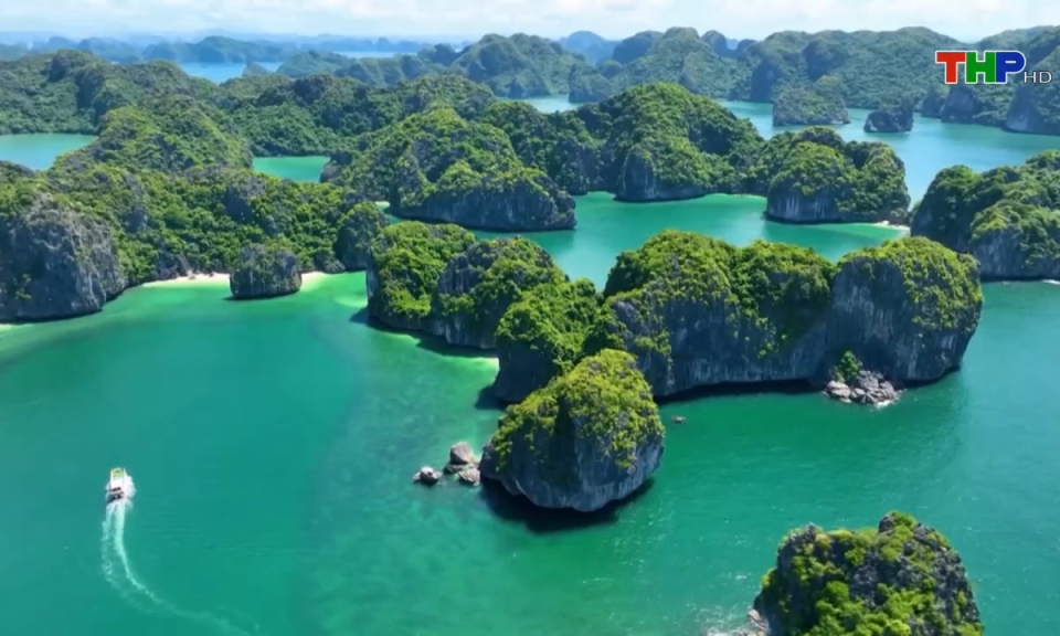 Bản tin Hải Ph&ograve;ng h&ocirc;m nay (14/10/2024)