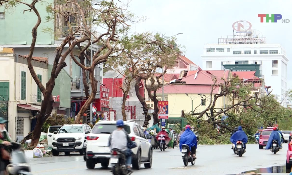 Bản tin thời sự trưa (15/10/2024)
