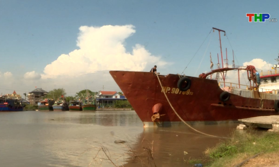 Bản tin Hải Ph&ograve;ng h&ocirc;m nay (16/10/2024)