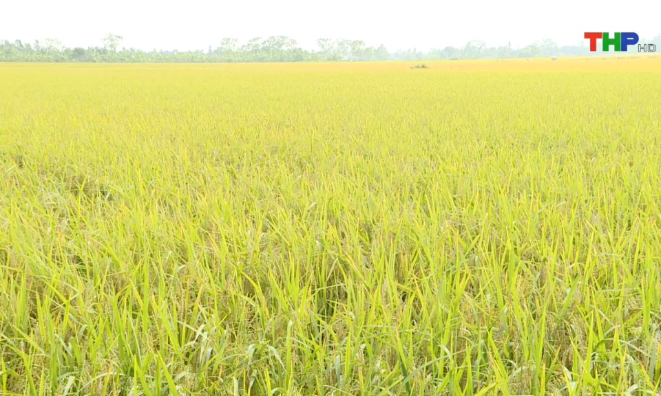 Bản tin Hải Ph&ograve;ng h&ocirc;m nay (18/10/2024)