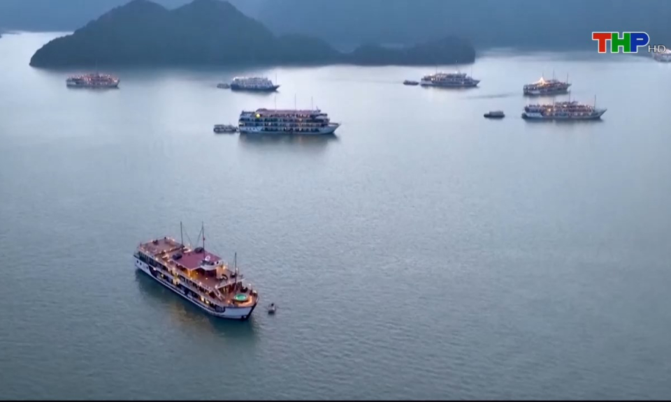 Bản tin thời sự s&aacute;ng (20/10/2024)