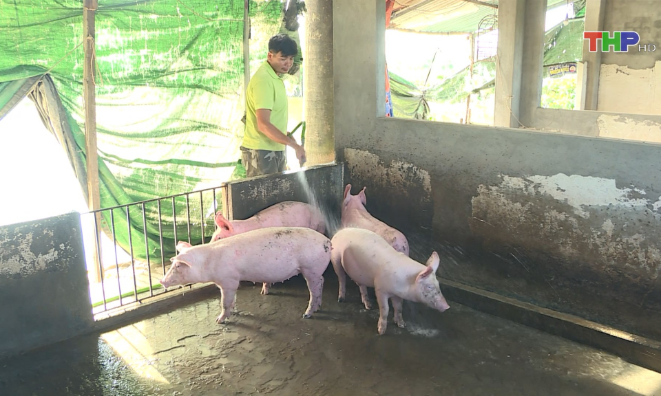 Hướng tới dừng hoạt động chăn nu&ocirc;i tại khu vực nội th&agrave;nh 