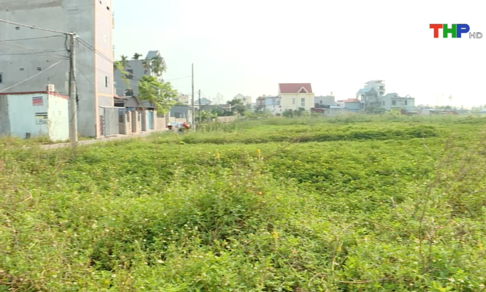 10 ph&uacute;t v&agrave;ng (23/10/2024)