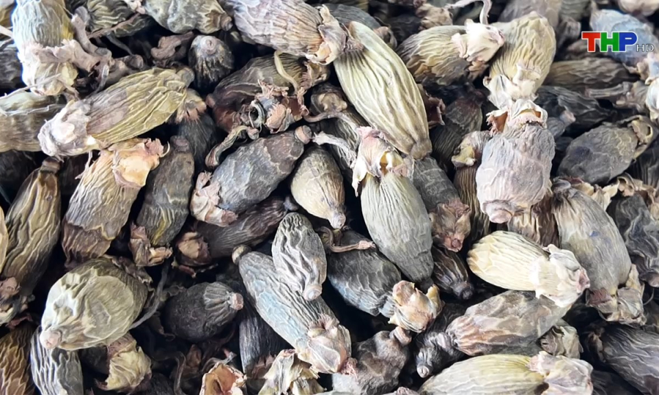 Bản tin thời sự tối (23/10/2024)