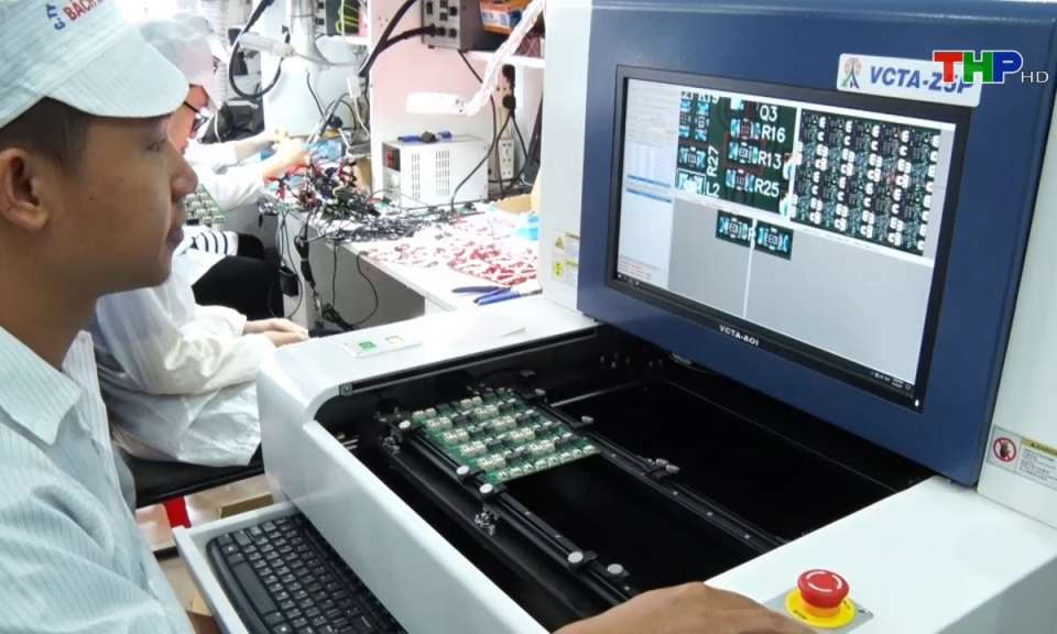 Bản tin tiếng Anh (23/10/2024)