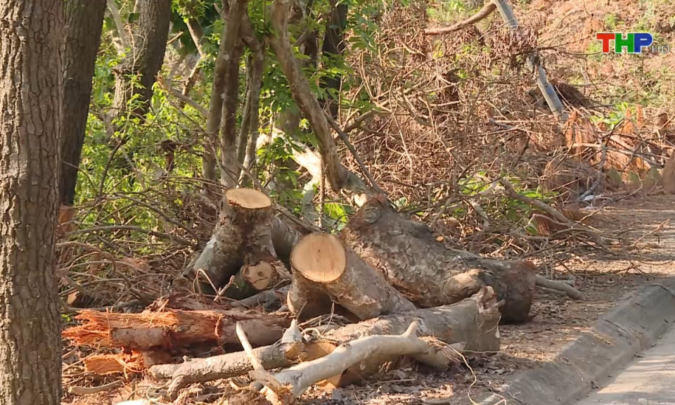 To&agrave;n d&acirc;n PCCC: Tăng cường ph&ograve;ng chống ch&aacute;y rừng m&ugrave;a hanh kh&ocirc;