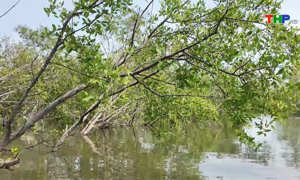 Bản tin thời sự s&aacute;ng (26/10/2024)