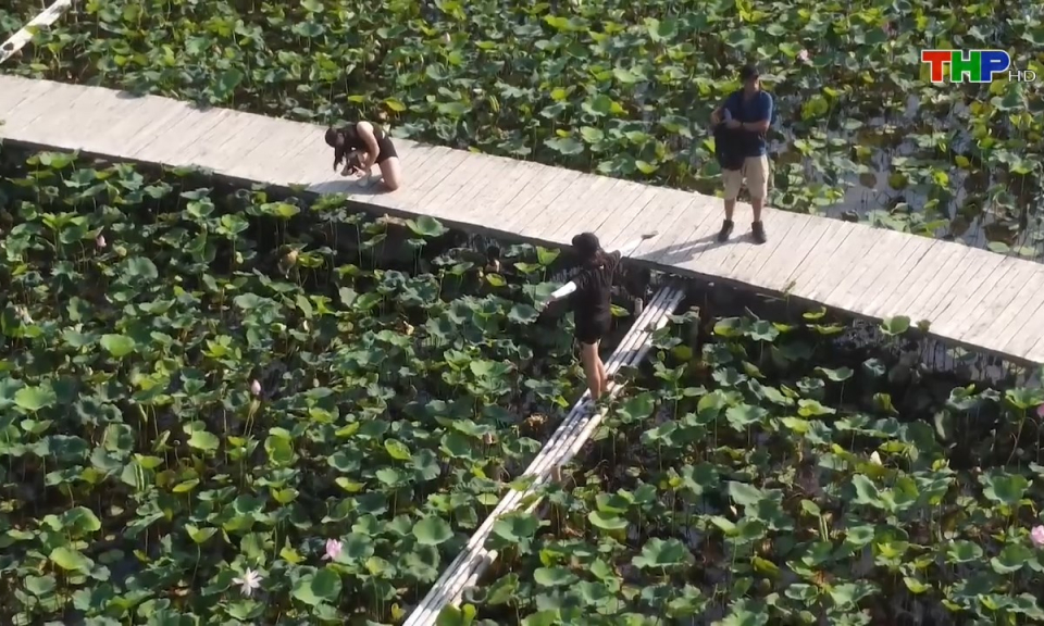 N&ocirc;ng th&ocirc;n mới Hải Ph&ograve;ng: X&acirc;y dựng, ph&aacute;t triển n&ocirc;ng nghiệp gắn với du lịch