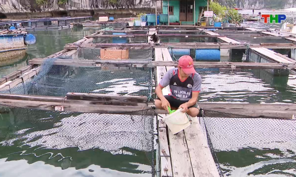 Bản tin Hải Ph&ograve;ng h&ocirc;m nay (27/10/2024)