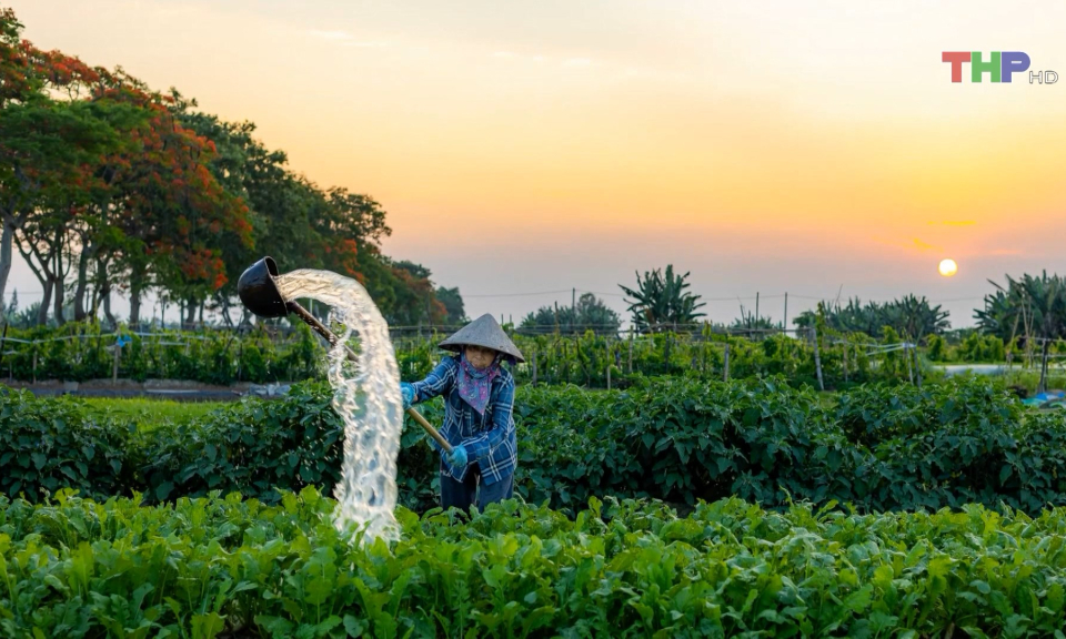 Li&ecirc;n hoan ảnh c&aacute;c C&acirc;u lạc bộ Nhiếp ảnh Hải Ph&ograve;ng  