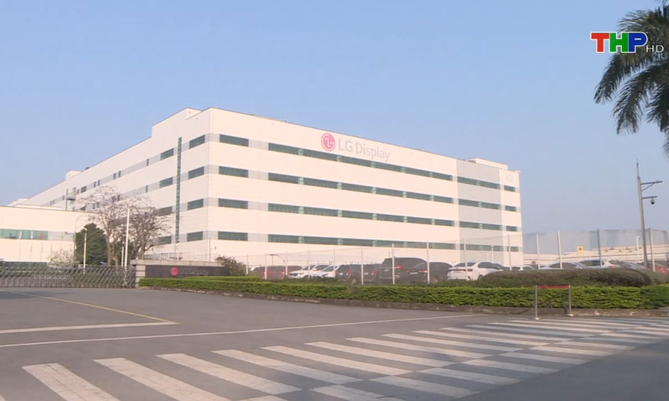 Bản tin Hải Ph&ograve;ng h&ocirc;m nay (29/10/2024)