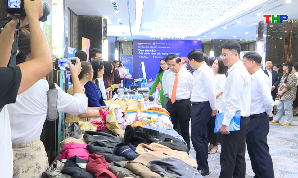 Hải Ph&ograve;ng chuyển động v&agrave; kết nối: Chiếm lĩnh thương mại điện tử xuy&ecirc;n bi&ecirc;n giới