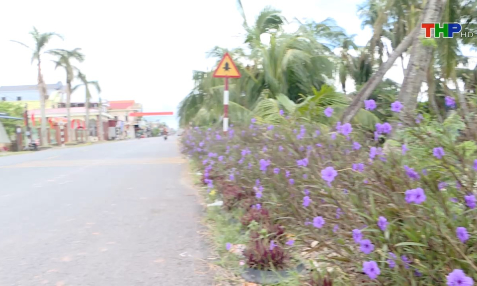 Bản tin Hải Ph&ograve;ng h&ocirc;m nay (30/10/2024)