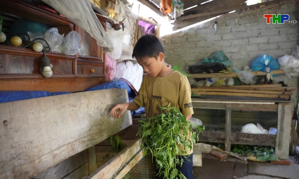 Ng&agrave;y nữa để y&ecirc;u thương: Ho&agrave;n cảnh ch&aacute;u Nguyễn Đức Nhật