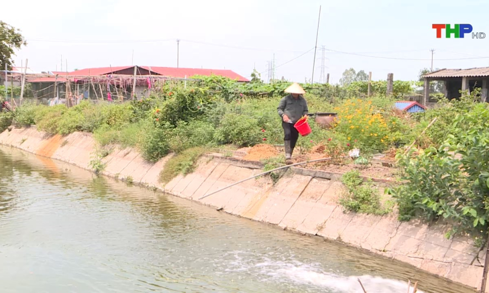 Bản tin thời sự s&aacute;ng (01/11/2024)