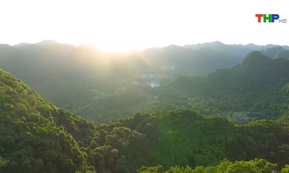 Bản tin tiếng Anh (31/10/2024)