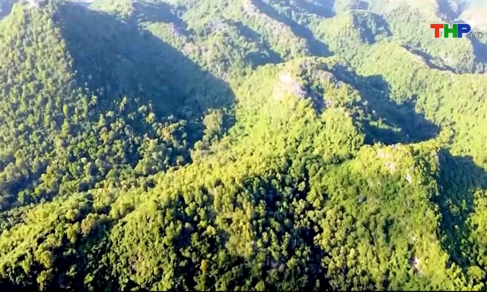 Bản tin tiếng Trung (31/10/2024)