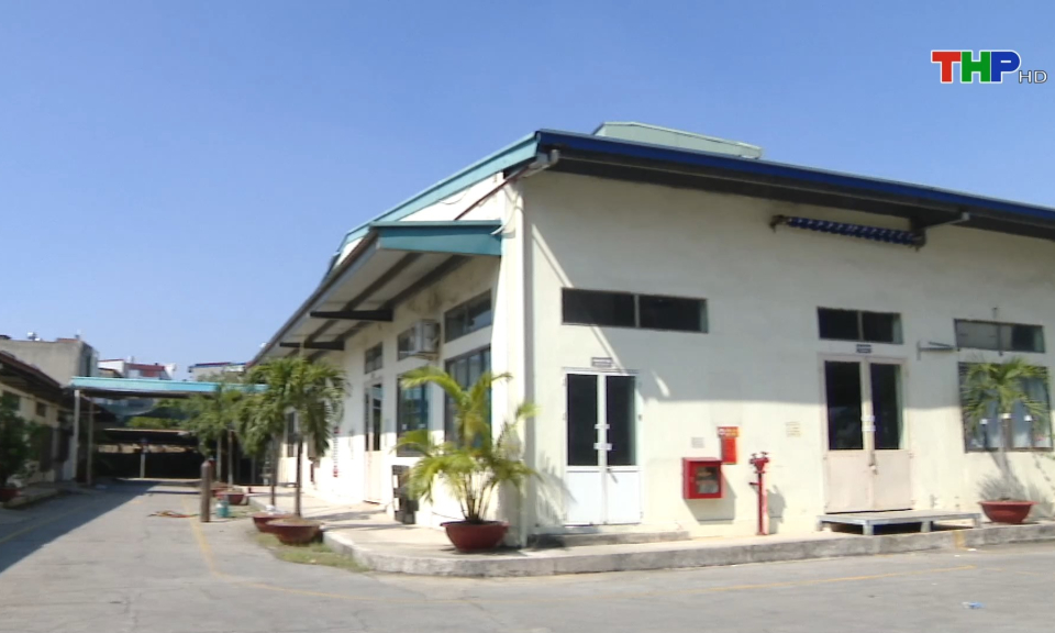 Bản tin thời sự tối (31/10/2024)