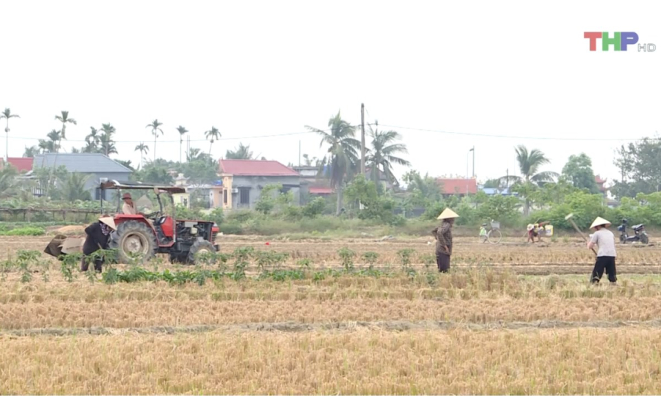 Bản tin thời sự trưa (01/11/2024)