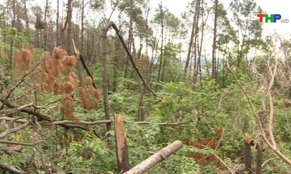 10 ph&uacute;t v&agrave;ng (01/11/2024)