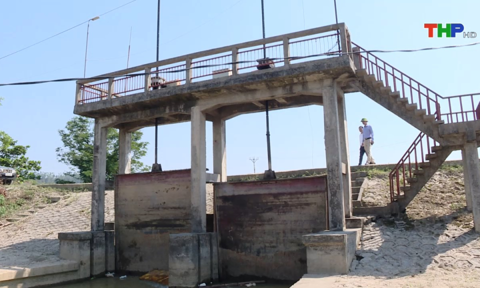 Bản tin Hải Ph&ograve;ng h&ocirc;m nay (01/11/2024)