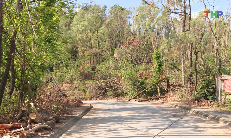 N&acirc;ng cao cảnh gi&aacute;c trước nguy cơ ch&aacute;y rừng