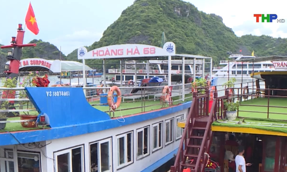 Bản tin Hải Ph&ograve;ng h&ocirc;m nay (02/11/2024)