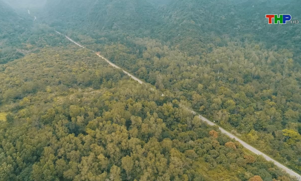 Bản tin tiếng Anh (02/11/2024)