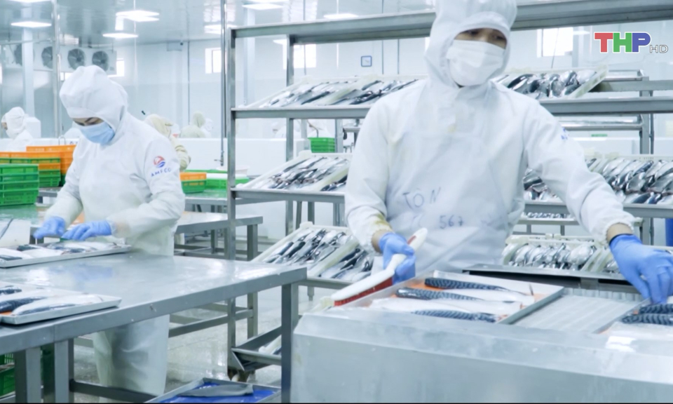 Bảo đảm an to&agrave;n thực phẩm với thủy sản chế biến 