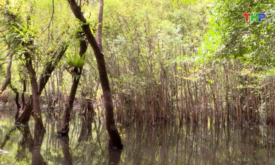 Phối hợp trong c&ocirc;ng t&aacute;c bảo vệ rừng