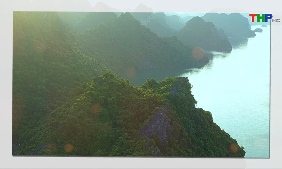 Bản tin tiếng Trung (03/11/2024)