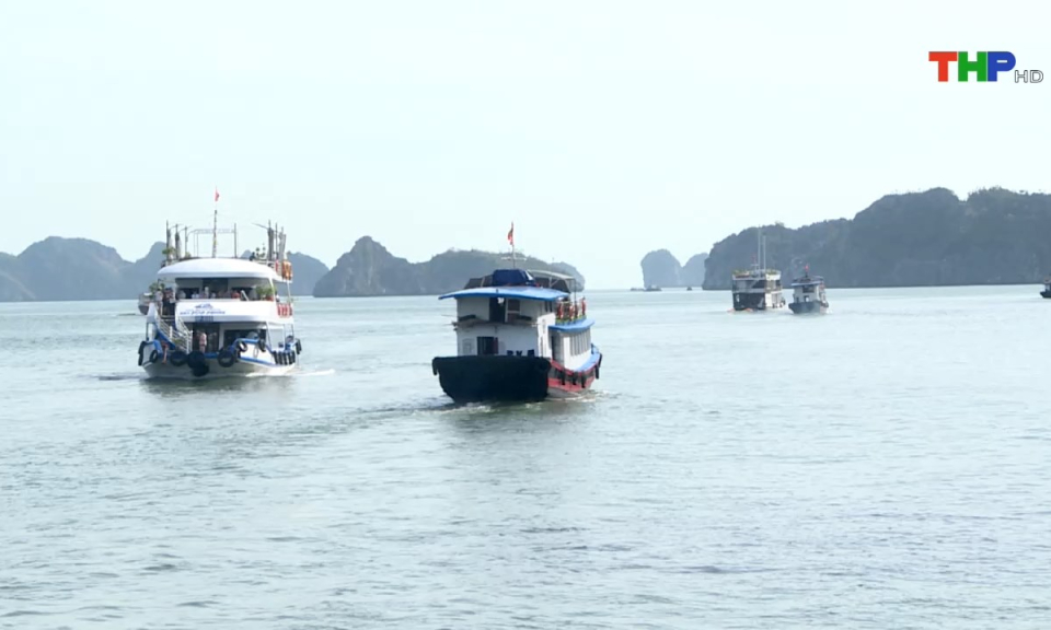 Bản tin thời sự s&aacute;ng (04/11/2024)