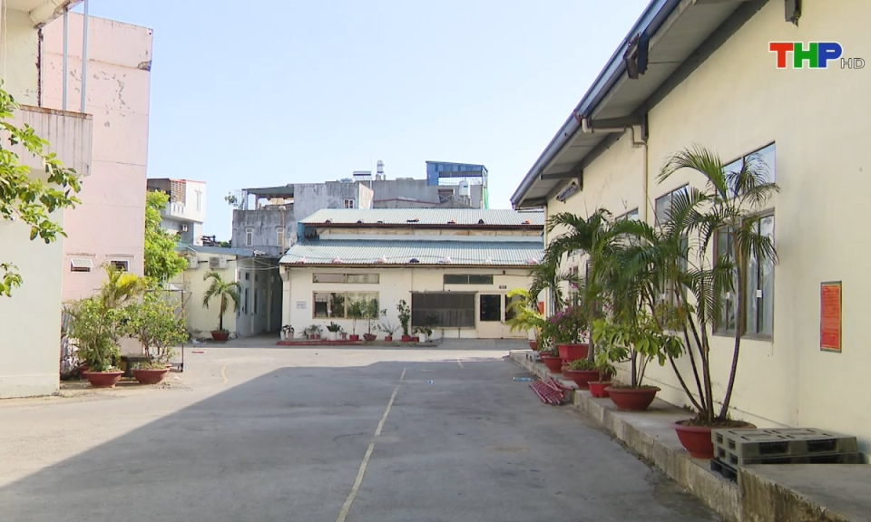 Bản tin thời sự tối (03/11/2024)