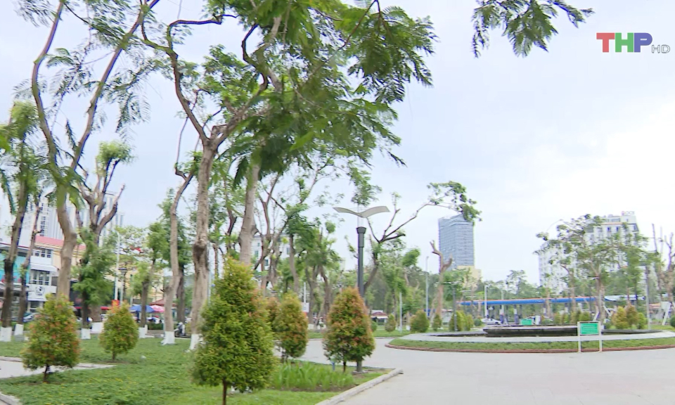 Kh&ocirc;i phục mảng xanh tại Dải trung t&acirc;m th&agrave;nh phố