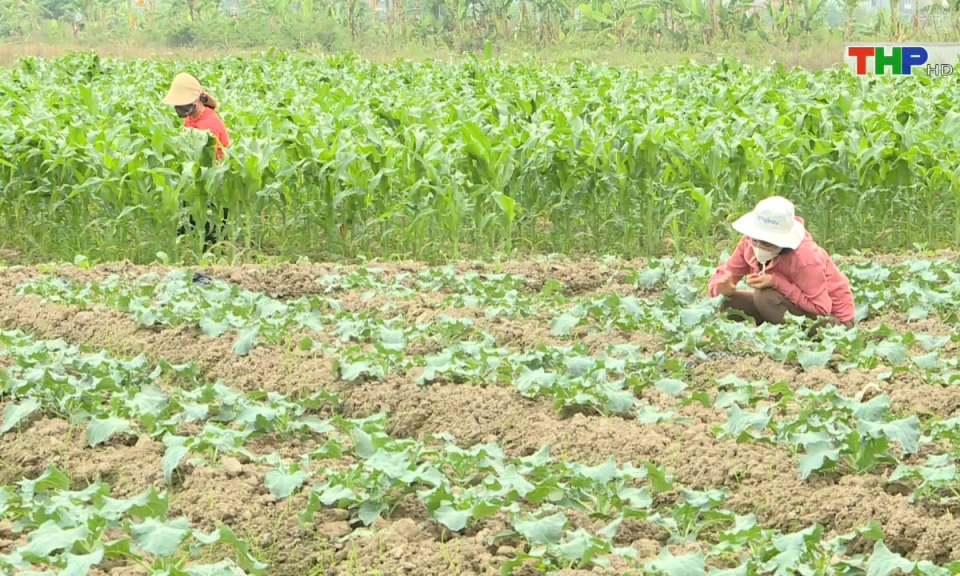 10 ph&uacute;t v&agrave;ng (05/11/2024)