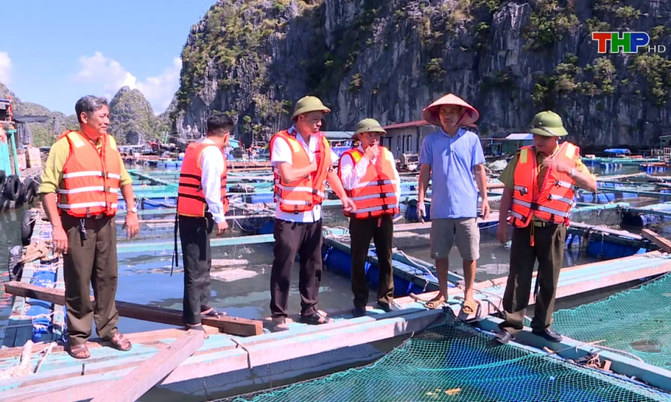 Bản tin tiếng Anh (05/11/2024)