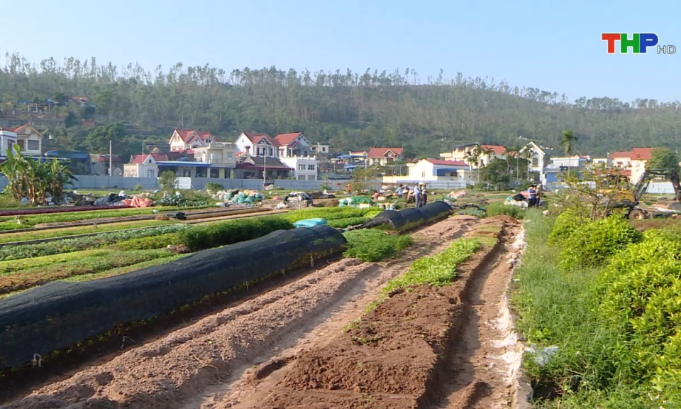 10 ph&uacute;t v&agrave;ng (07/11/2024)